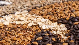 Beige is Beautiful wholegrain campaign 